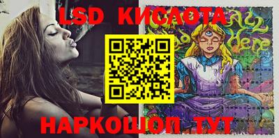 молекула духа Кулебаки