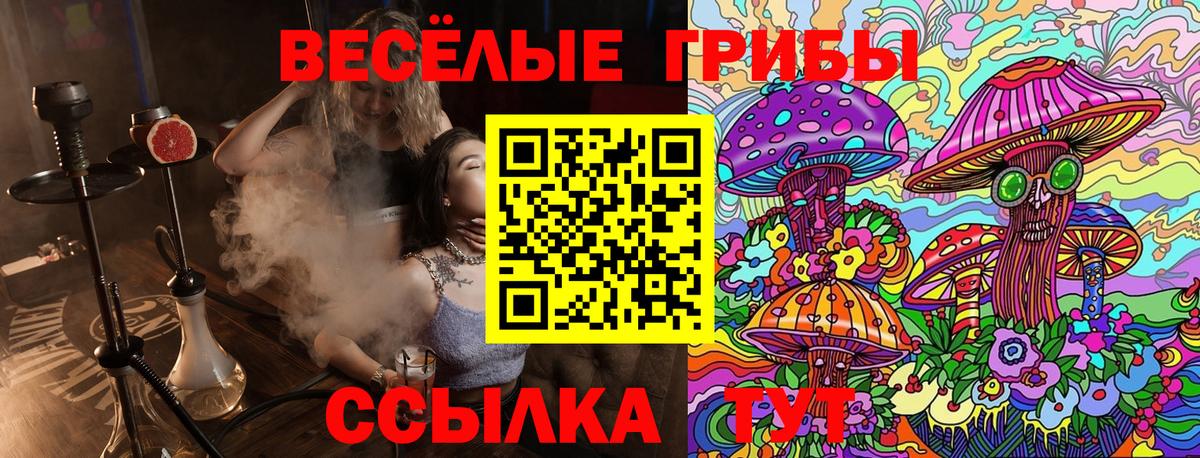 Псилоцибиновые грибы Psilocybe  Вход с VPN  Ижевск 