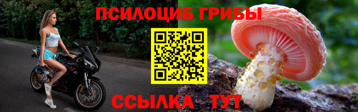 Галлюциногенные грибы Psilocybe Ижевск